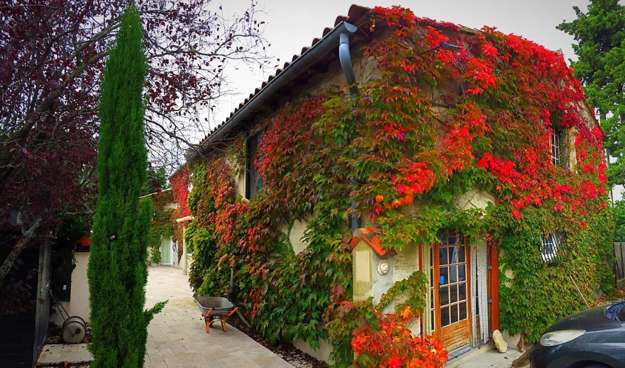 Le Mas Des Abeilles - Chambres D'Hotes En Drome Provencale La Begude-de-Mazenc Exterior photo
